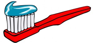 BROSSE.JPG